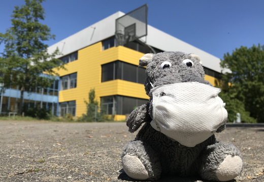 Hippo